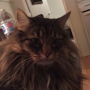 Meet your Posher, Jorja